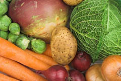 условия хранения овощей и фруктов