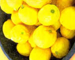 как сохранить лимоны в домашних условиях