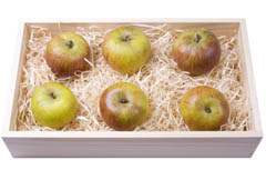 как сохранить яблоки на зиму свежими