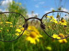 травы для улучшения зрения при близорукости
