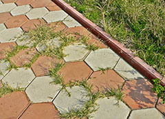 как удалить сорняки на бетонной садовой дорожке