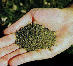 определение кислотности почвы